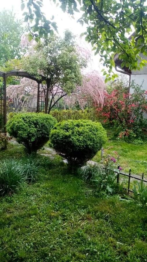 Pensiunea Dodo Patarlagele 외부 사진